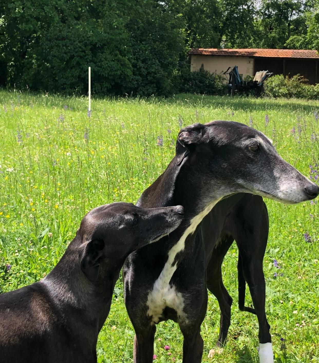 Willa Le Buscagneau Béraut Zewnętrze zdjęcie